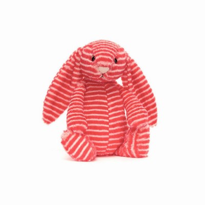 Jellycat Bashful Evey Konijn | LQ1457603